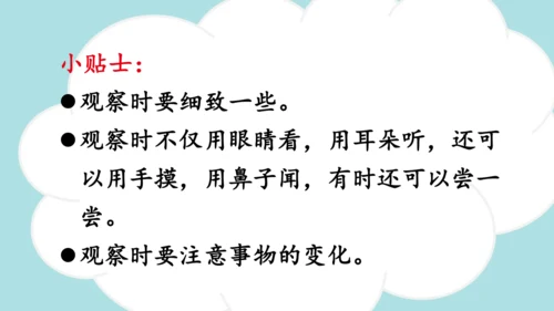 -统编版2024-2025学年三年级语文上册同步精品习作：我们眼中的缤纷世界 课件