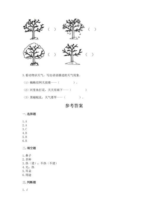 教科版二年级上册科学期末测试卷含完整答案（有一套）.docx