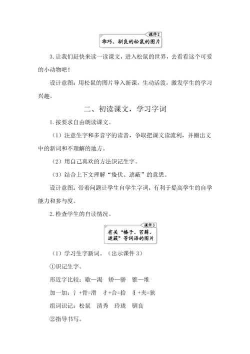 17 松鼠 教案