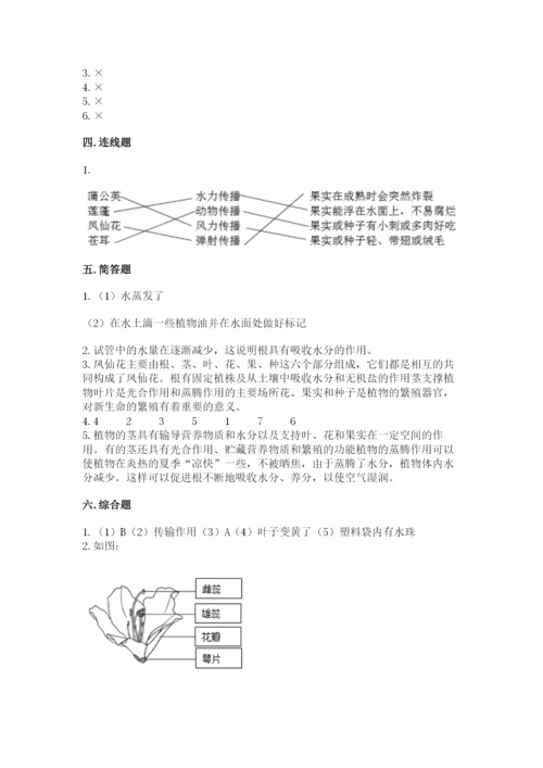 科学四年级下册第一单元植物的生长变化测试卷（典型题）.docx