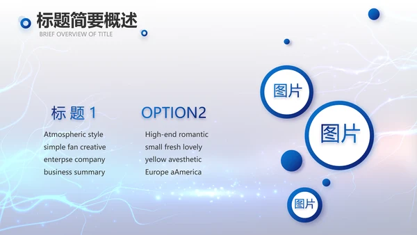 蓝色科技项目汇报商务动态PPT