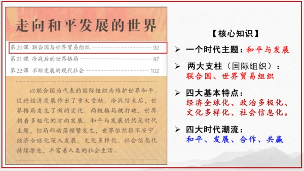 第19课 亚非拉国家的新发展 课件（26页PPT）