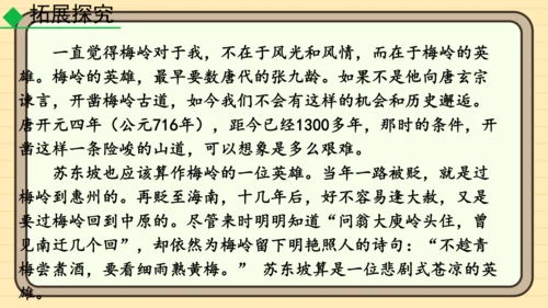 20 井冈翠竹 课件