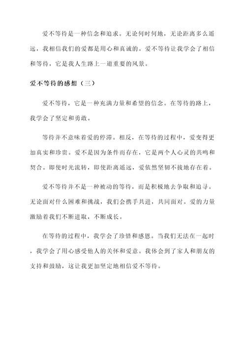 爱不等待的感想