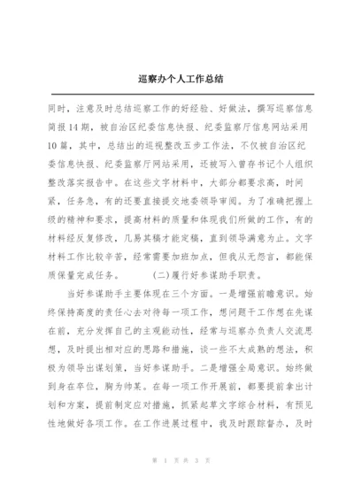 巡察办个人工作总结.docx