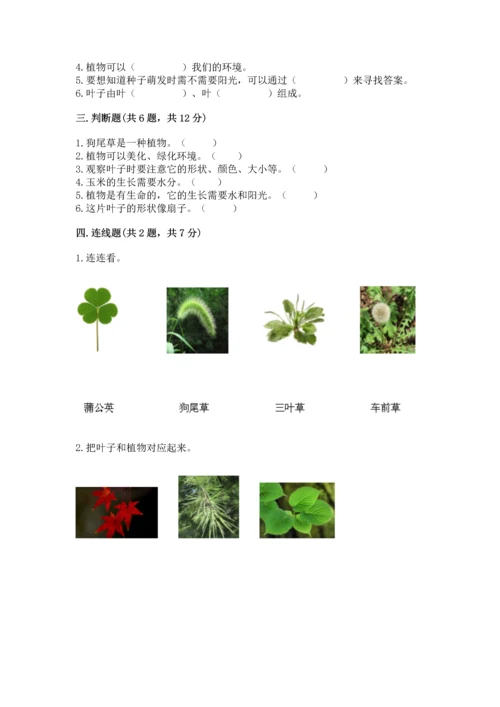 教科版科学一年级上册第一单元《植物》测试卷（黄金题型）.docx