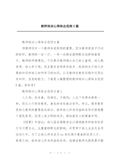 教师培训心得体会范例5篇.docx