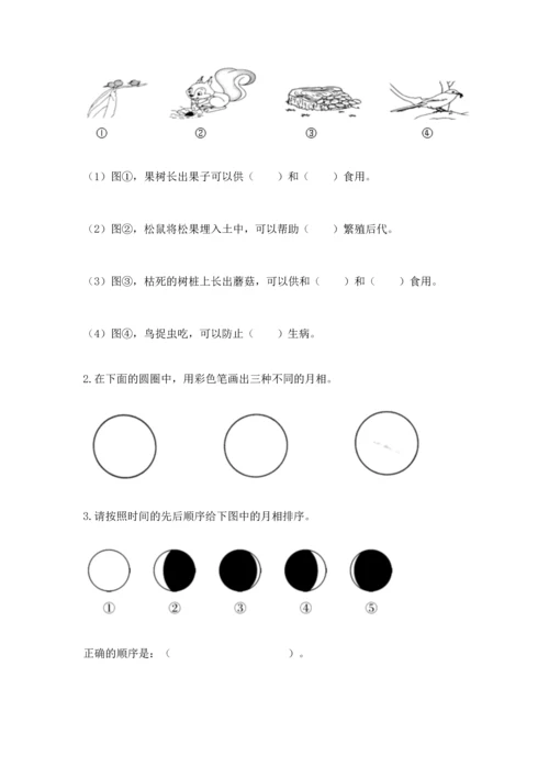 教科版二年级上册科学期末测试卷精品【预热题】.docx