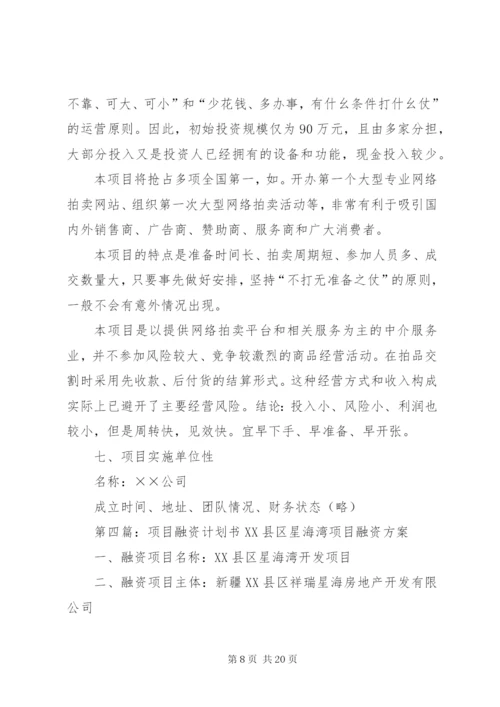 项目融资计划书 (6).docx