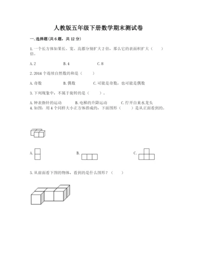 人教版五年级下册数学期末测试卷附完整答案【易错题】.docx