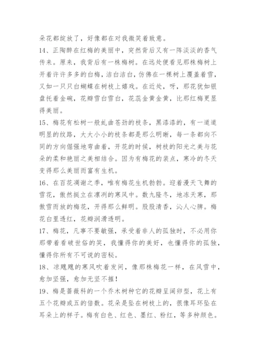 描写梅花的优美段落.docx
