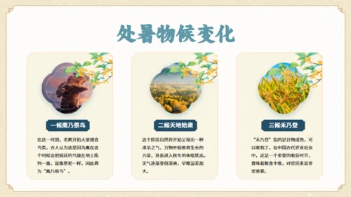 处暑－24节气课件通用PPT模板