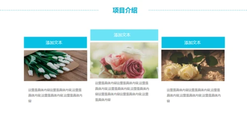 蓝色简约通用商务工作计划PPT模版