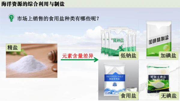跨学科实践活动8  海洋资源的综合利用与制盐课件(共39张PPT内嵌视频)