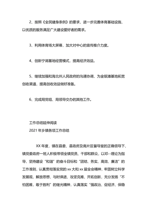 民族体育各项工作总结汇报.docx