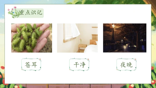 【核心素养】部编版语文二年级下册-11. 我是一只小虫子 第1课时（课件）