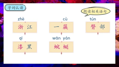 【核心素养】部编版语文四年级下册-17.记金华的双龙洞 第1课时（课件）