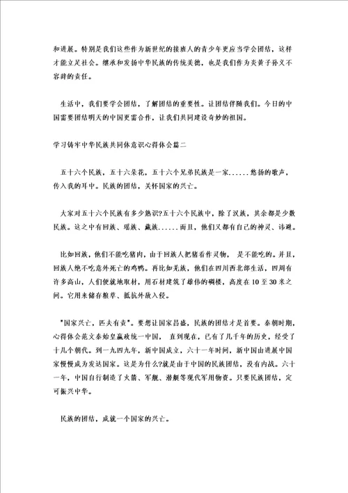 2022学习铸牢中华民族共同体意识心得体会