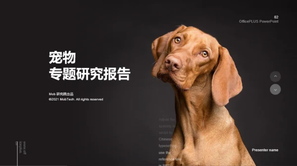 2021年宠物专题研究报告