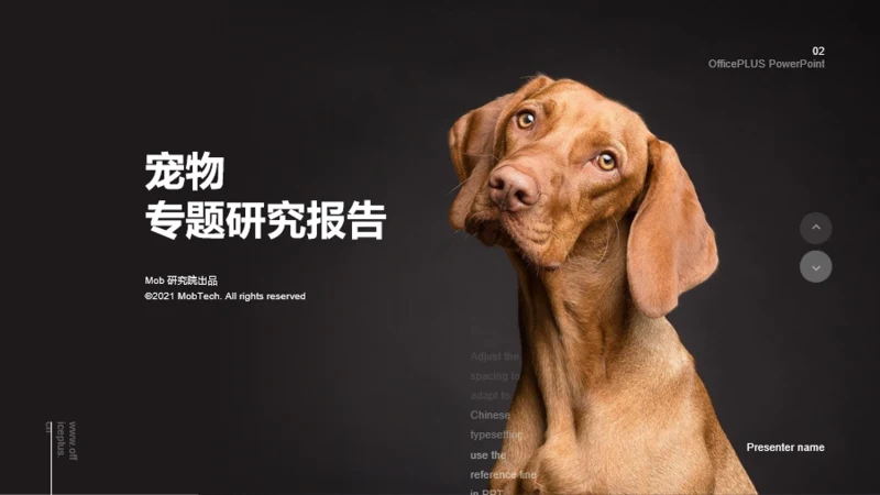 2021年宠物专题研究报告