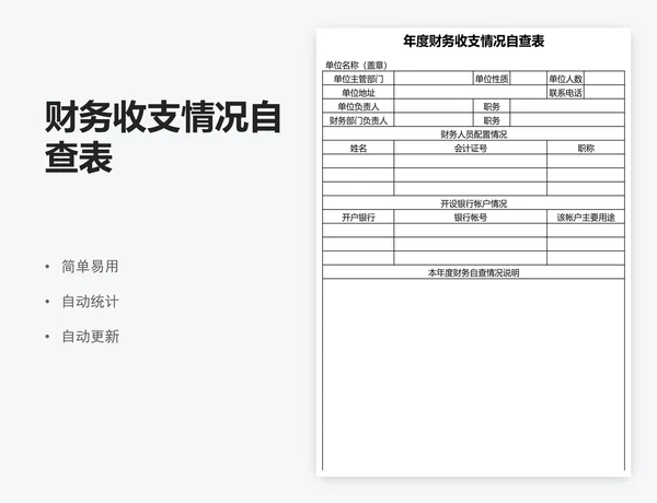 财务收支情况自查表