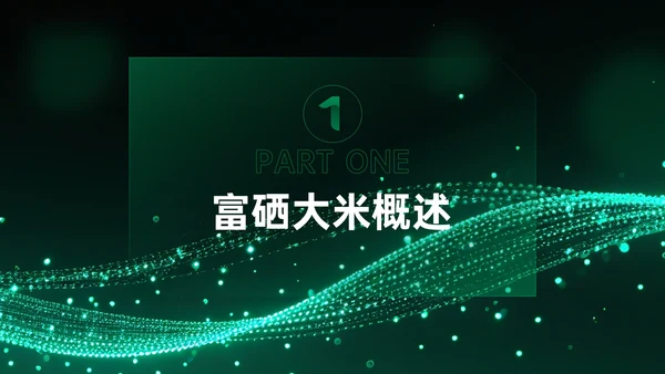 绿色科技风科技富硒大米新品发布会