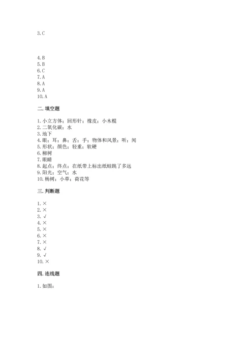 教科版一年级上册科学期末测试卷含答案解析.docx