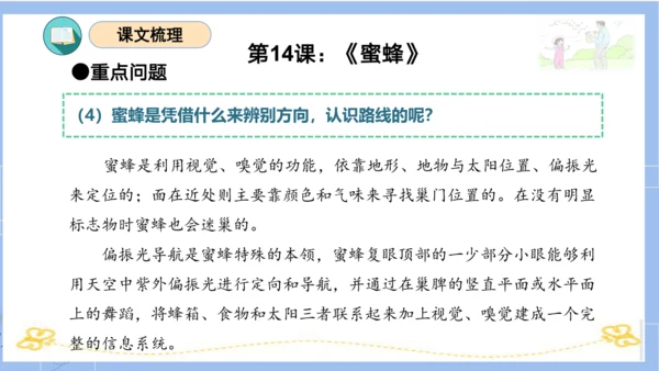 统编版三年级语文下册同步高效课堂系列第四单元（复习课件）