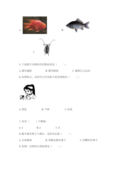 教科版一年级下册科学期末测试卷及参考答案【综合卷】.docx