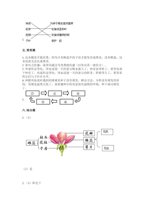 教科版科学四年级下册第一单元《植物的生长变化》测试卷（word）.docx