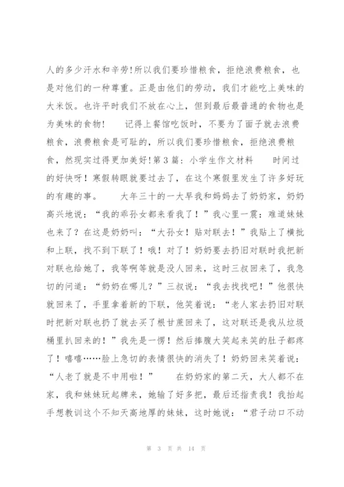 小学生作文材料范文九篇.docx