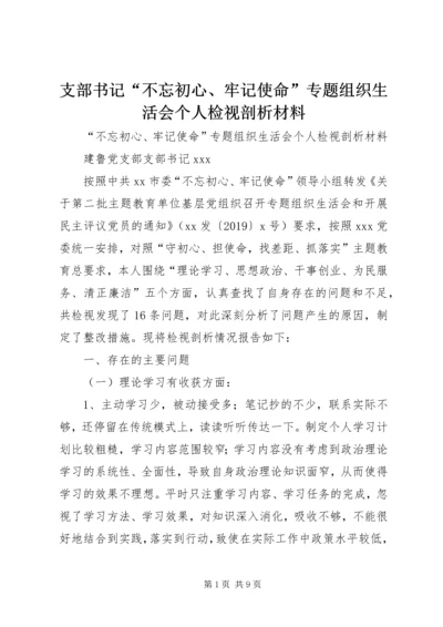 支部书记“不忘初心、牢记使命”专题组织生活会个人检视剖析材料.docx