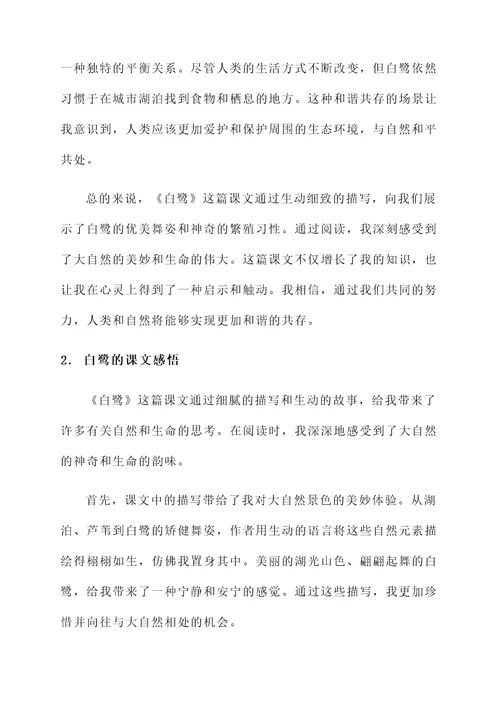 关于白鹭的课文感想