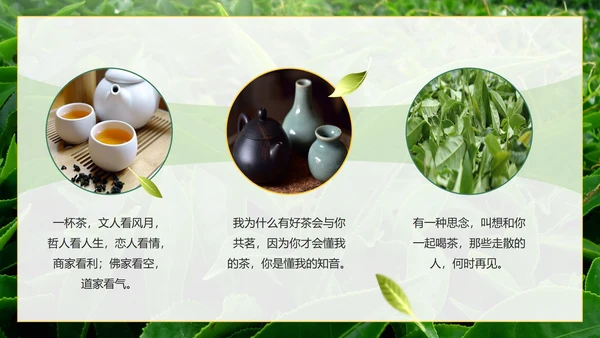 绿色实景茶园茶道科普介绍PPT模板
