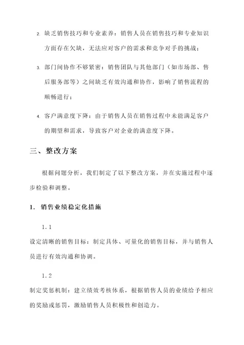 销售队伍整改可行性方案