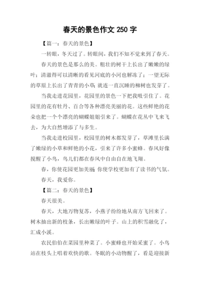 春天的景色作文250字.docx