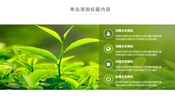 清新绿茶茶文化采茶茶道茶艺茶文化PPT模板