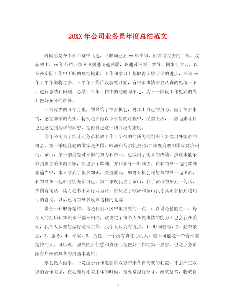 精编之公司业务员年度总结范文2.docx