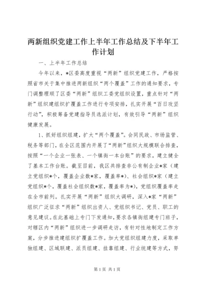 两新组织党建工作上半年工作总结及下半年工作计划.docx