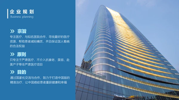 专业国际医疗机构PPT模板