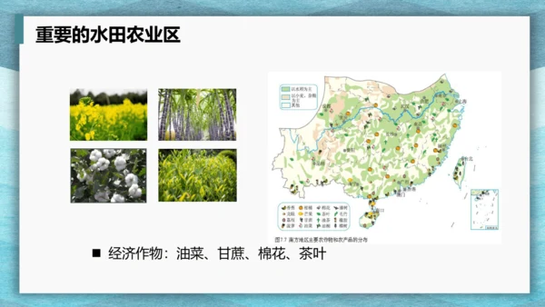 第七章 南方地区 第一课时 复习课课件(共29张PPT)