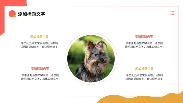 宠物健康护理，狗狗通用PPT模板