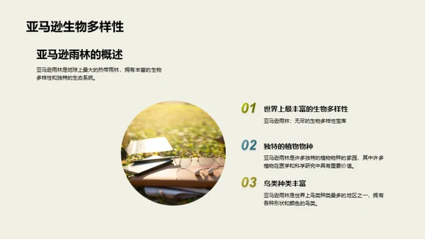 自然景观的奥秘