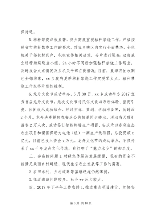 乡镇某年上半年工作总结及下半年工作安排.docx
