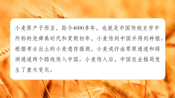 【人教新版】七上 第六章 跨学科主题学习 《探索外来食物传播史》（教学课件24张）