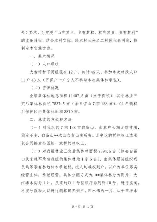 集体林权制度改革承包方案.docx