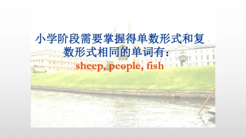 【名词单复数】课件PPT