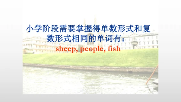 【名词单复数】课件PPT