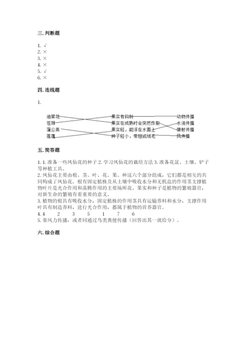 科学四年级下册第一单元植物的生长变化测试卷（精华版）.docx