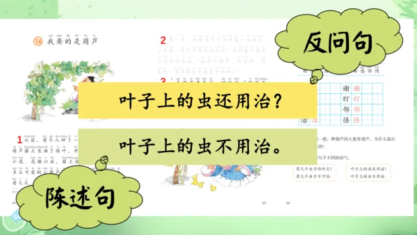 14.《我要的是葫芦》第2课时 课件